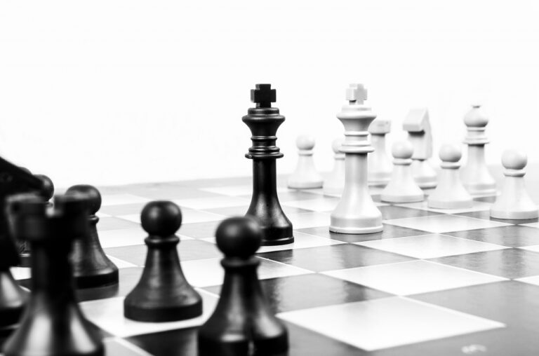 1. Platz bei der Deutschen Schulschachmeisterschaft für das Kaschmir