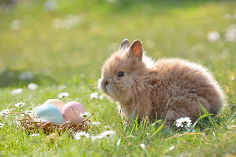Schließung der Schule über die Osterferien